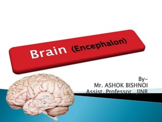 By-
Mr. ASHOK BISHNOI
Assist. Professor , JINR
 
