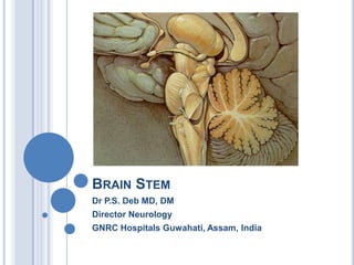 BRAIN STEM
Dr P.S. Deb MD, DM
Director Neurology
GNRC Hospitals Guwahati, Assam, India

 