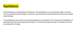 Hypothalamus
The hypothalamus is located below the thalamus. The hypothalamus is a very important organ in the brain.
This, in conjunction with the pituitary, ensures the continuity of the surviving biochemical environment located
inside the body.
The hypothalamus ensures that normal body temperature is maintained. This is because the hypothalamus is
extremely sensitive to any temperature fluctuations. It controls food intake because it is sensitive to the pain
and persecution of hunger.
 