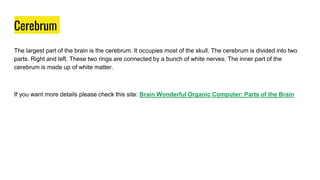 Cerebrum
The largest part of the brain is the cerebrum. It occupies most of the skull. The cerebrum is divided into two
parts. Right and left. These two rings are connected by a bunch of white nerves. The inner part of the
cerebrum is made up of white matter.
If you want more details please check this site: Brain Wonderful Organic Computer: Parts of the Brain
 