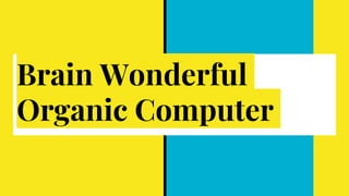 Brain Wonderful
Organic Computer
 