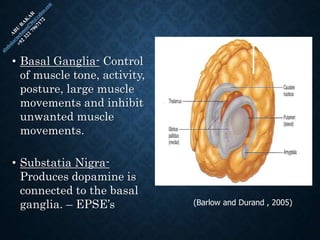 • Basal Ganglia- Control
of muscle tone, activity,
posture, large muscle
movements and inhibit
unwanted muscle
movements.
• Substatia Nigra-
Produces dopamine is
connected to the basal
ganglia. – EPSE’s (Barlow and Durand , 2005)
 