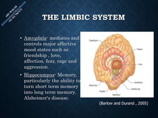 THE LIMBIC SYSTEM
• Amygdala- mediates and
controls major affective
mood states such as
friendship , love,
affection, fear, rage and
aggression.
• Hippocampus- Memory,
particularly the ability to
turn short term memory
into long term memory.
Alzheimer's disease.
(Barlow and Durand , 2005)
 