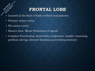 FRONTAL LOBE
• Located at the front of both cerebral hemispheres
• Primary motor cortex
• Pre-motor cortex
• Broca’s Area- Motor Production of speech
• Complex Functioning- personality, judgement, insight, reasoning,
problem solving, abstract thinking and working memory
 