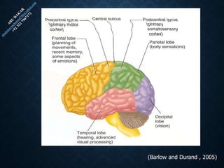 (Barlow and Durand , 2005)
 