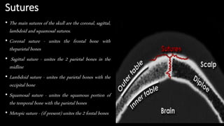 Sutures
• The main sutures of the skull are the coronal, sagittal,
lambdoid and squamosal sutures.
• Coronal suture - unites the frontal bone with
theparietal bones
• Sagittal suture - unites the 2 parietal bones in the
midline
• Lambdoid suture - unites the parietal bones with the
occipital bone
• Squamosal suture - unites the squamous portion of
the temporal bone with the parietal bones
• Metopic suture - (if present) unites the 2 fontal bones
 