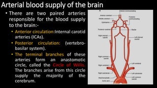 Arterial blood supply of the brain
• There are two paired arteries
responsible for the blood supply
to the brain:-
• Anterior circulation:Internal carotid
arteries (ICAs).
• Posterior circulation: (vertebro-
basilar system).
• The terminal branches of these
arteries form an anastomotic
circle, called the Circle of Willis.
The branches arise from this circle
supply the majority of the
cerebrum.
 