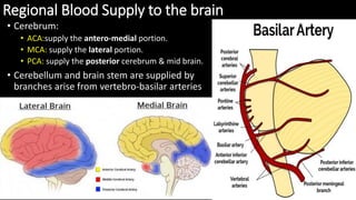 Regional Blood Supply to the brain
• Cerebrum:
• ACA:supply the antero-medial portion.
• MCA: supply the lateral portion.
• PCA: supply the posterior cerebrum & mid brain.
• Cerebellum and brain stem are supplied by
branches arise from vertebro-basilar arteries
 