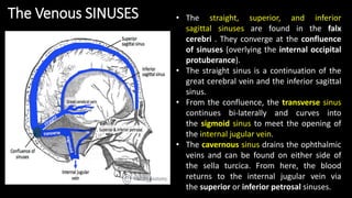 • The straight, superior, and inferior
sagittal sinuses are found in the falx
cerebri . They converge at the confluence
of sinuses (overlying the internal occipital
protuberance).
• The straight sinus is a continuation of the
great cerebral vein and the inferior sagittal
sinus.
• From the confluence, the transverse sinus
continues bi-laterally and curves into
the sigmoid sinus to meet the opening of
the internal jugular vein.
• The cavernous sinus drains the ophthalmic
veins and can be found on either side of
the sella turcica. From here, the blood
returns to the internal jugular vein via
the superior or inferior petrosal sinuses.
The Venous SINUSES
 
