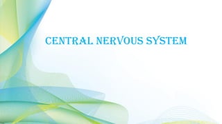CENTRAL NERVOUS SYSTEM
 