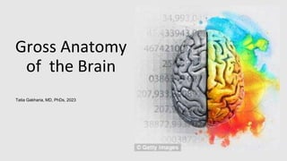 Gross Anatomy
of the Brain
Tatia Gakharia, MD, PhDs, 2023
 