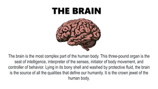 PARTS OF THE BRAIN OF HUMAN AND ITS FUNCTION.pptx