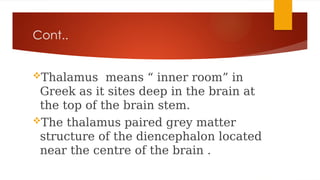 BRAIN OF HUMAN BODY IMPORTANT PART WHICH IS UDE | PPTX