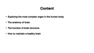 Brain anatomy and physiological function | PDF