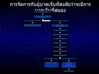 การจัดการกับผู้บาดเจ็บที่สงสัยว่าจะมีการบาดเจ็บที่สมอง 