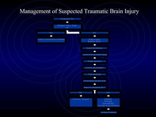 Management of Suspected Traumatic Brain Injury 