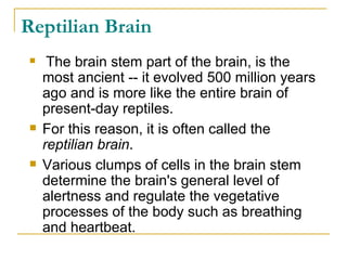 Brain and Its Functions- Part 1 | PPT