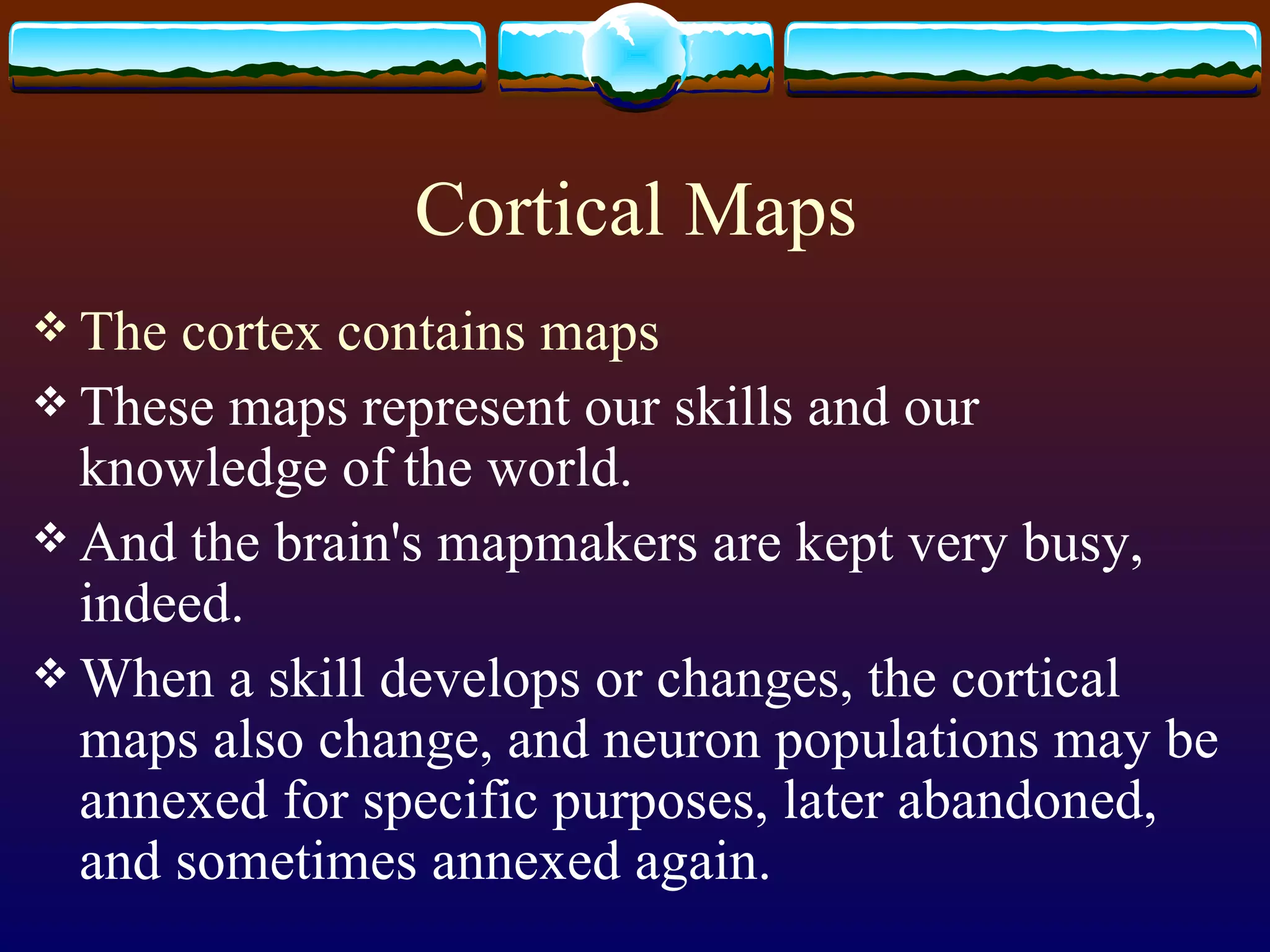 Cortical Maps The cortex contains maps These maps represent our skills and our knowledge of the world. And the brain's mapmakers are kept very busy, indeed. When a skill develops or changes, the cortical maps also change, and neuron populations may be annexed for specific purposes, later abandoned, and sometimes annexed again. 