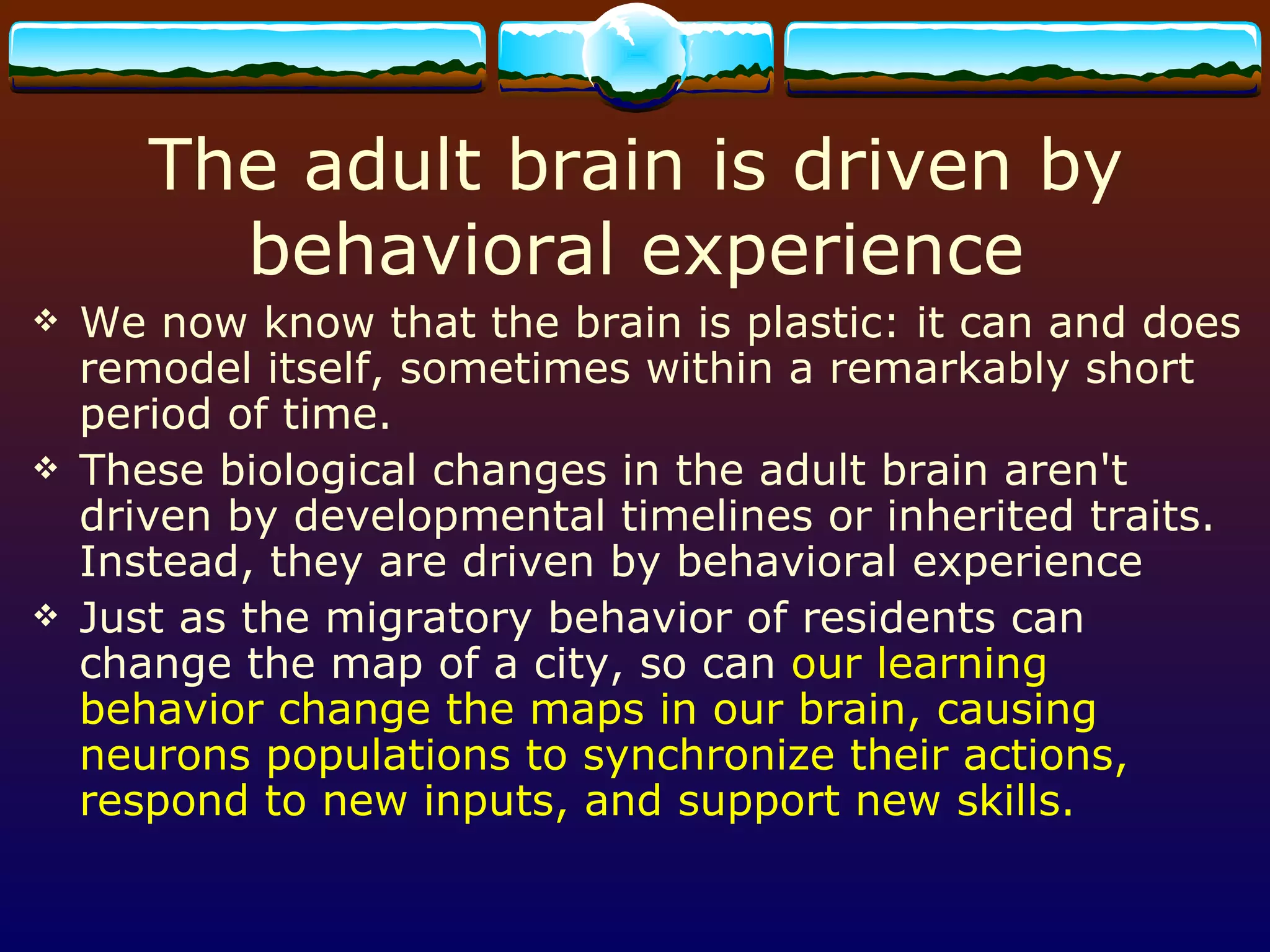 The adult brain is driven by behavioral experience We now know that the brain is plastic: it can and does remodel itself, sometimes within a remarkably short period of time. These biological changes in the adult brain aren't driven by developmental timelines or inherited traits. Instead, they are driven by behavioral experience Just as the migratory behavior of residents can change the map of a city, so can  our learning behavior change the maps in our brain, causing neurons populations to synchronize their actions, respond to new inputs, and support new skills. 