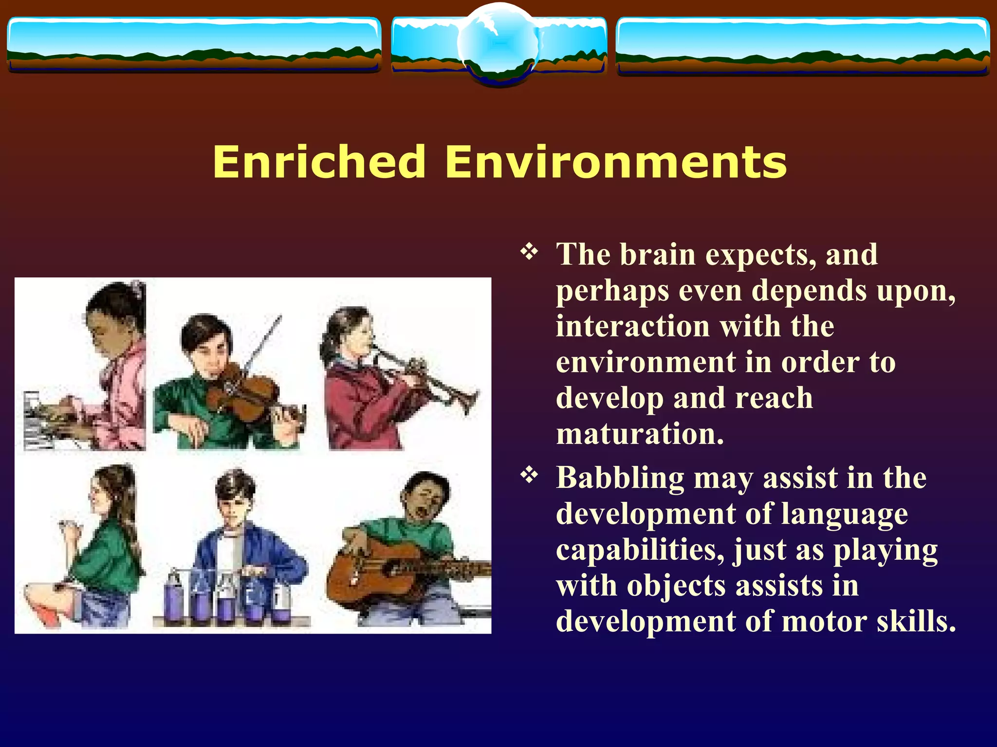 Enriched Environments The brain expects, and perhaps   even depends upon, interaction with the environment in order to develop and reach maturation. Babbling may assist in the development of language capabilities, just as playing with objects assists in development of motor skills.  