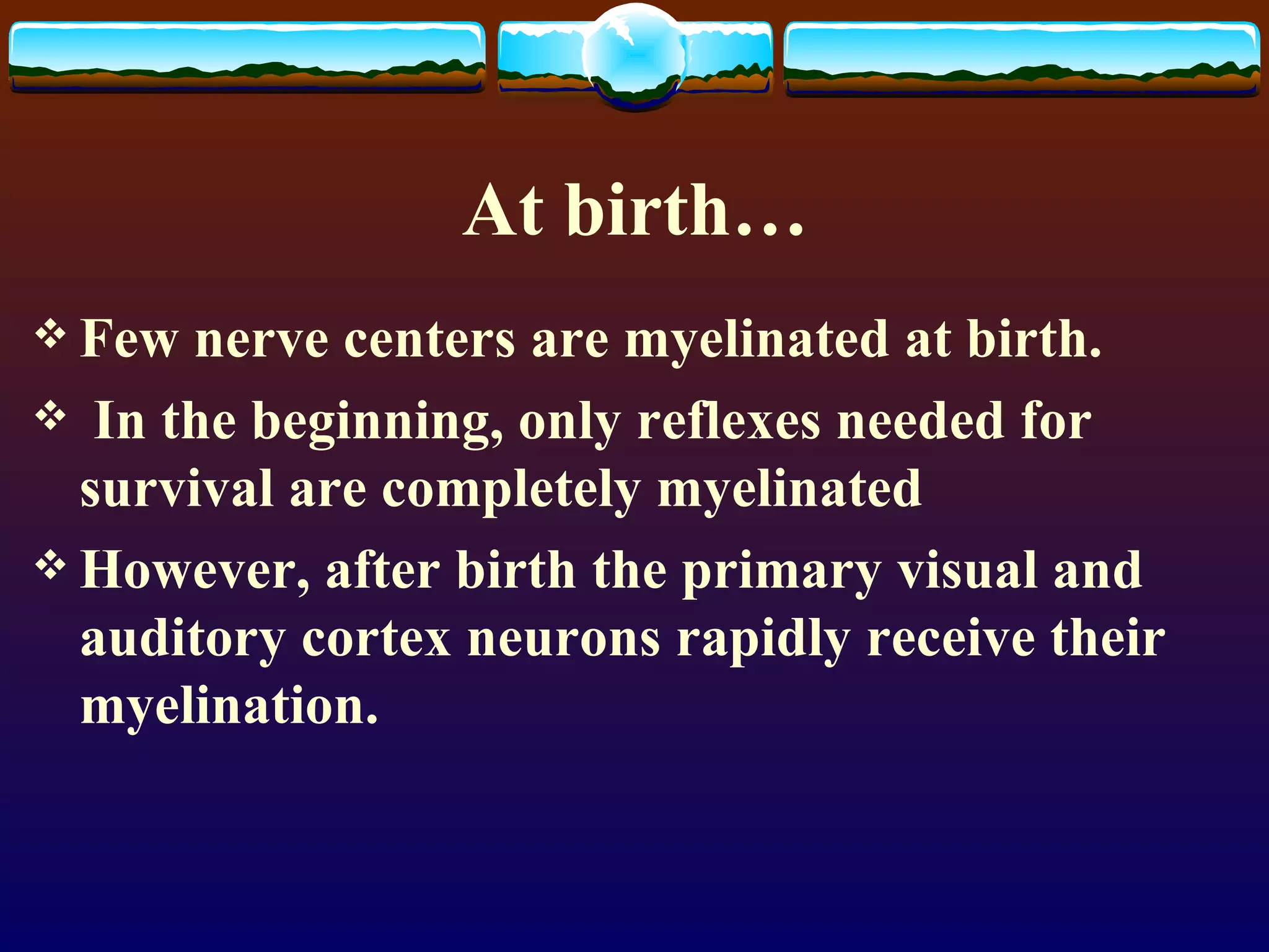 At birth… Few nerve centers are myelinated at birth. In the beginning, only reflexes needed for survival are completely myelinated However, after birth the primary visual and auditory cortex neurons rapidly receive their myelination.  