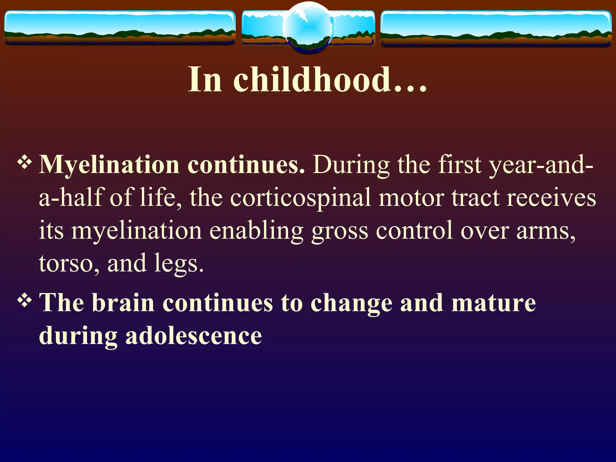 In childhood… Myelination continues.  During the first year-and-a-half of life, the corticospinal motor tract receives its myelination enabling gross control over arms, torso, and legs. The brain continues to change and mature during adolescence 
