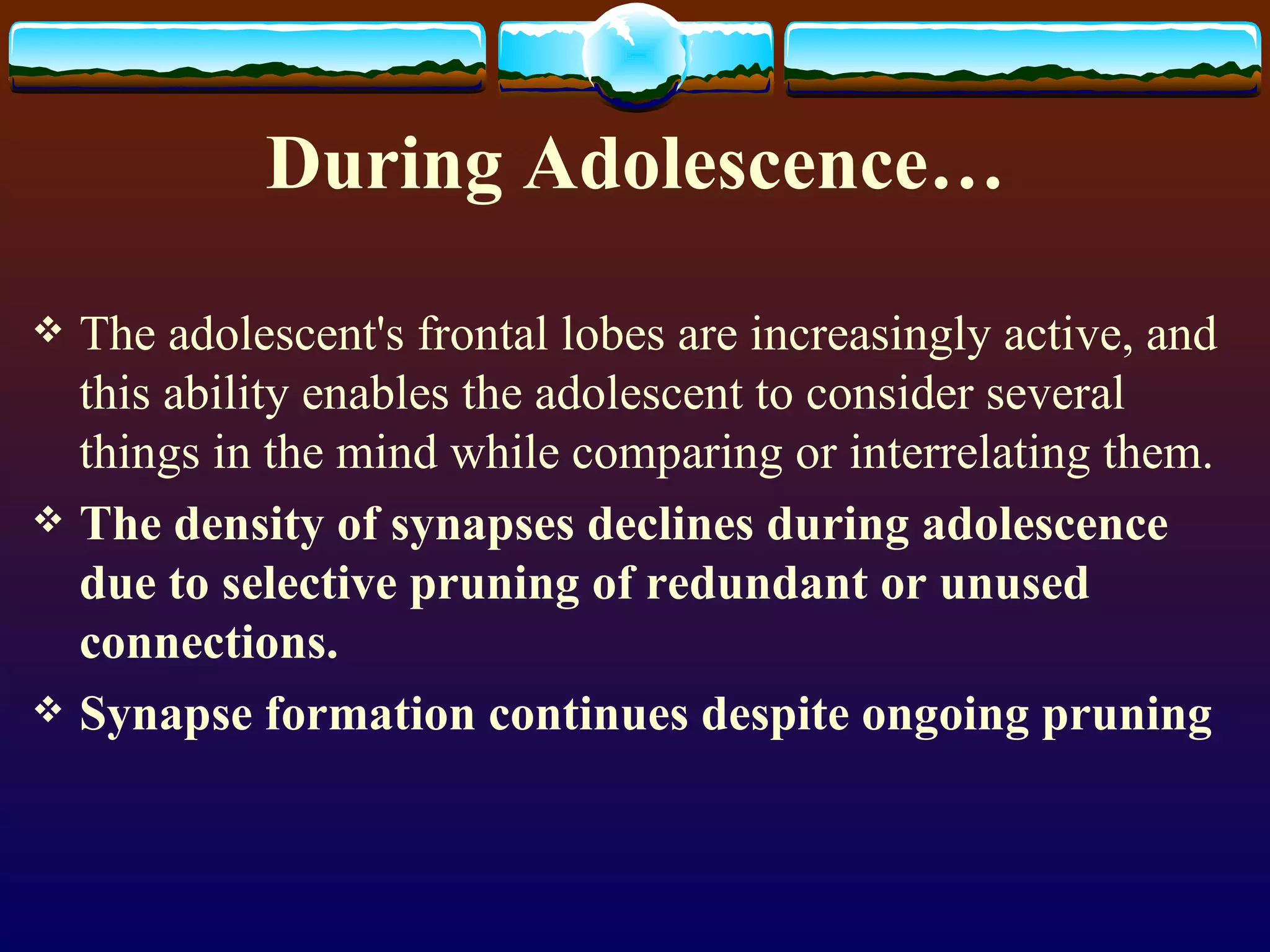 During Adolescence… The adolescent's frontal lobes are increasingly active, and this ability enables the adolescent to consider several things in the mind while comparing or interrelating them. The density of synapses declines during adolescence due to selective pruning of redundant or unused connections. Synapse formation continues despite ongoing pruning 