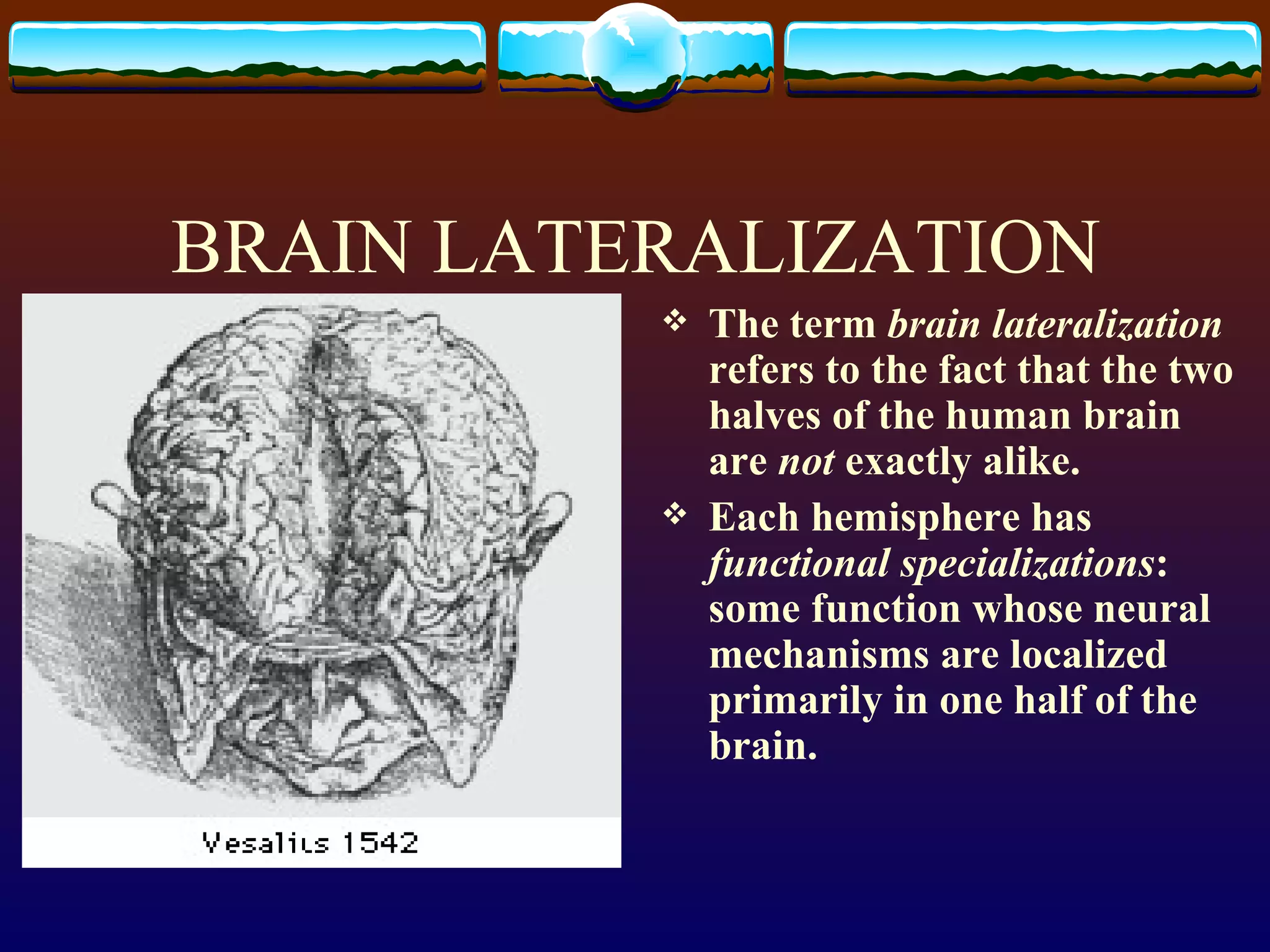 BRAIN LATERALIZATION The term  brain lateralization  refers to the fact that the two halves of the human brain are  not  exactly alike. Each hemisphere has  functional specializations : some function whose neural mechanisms are localized primarily in one half of the brain. 