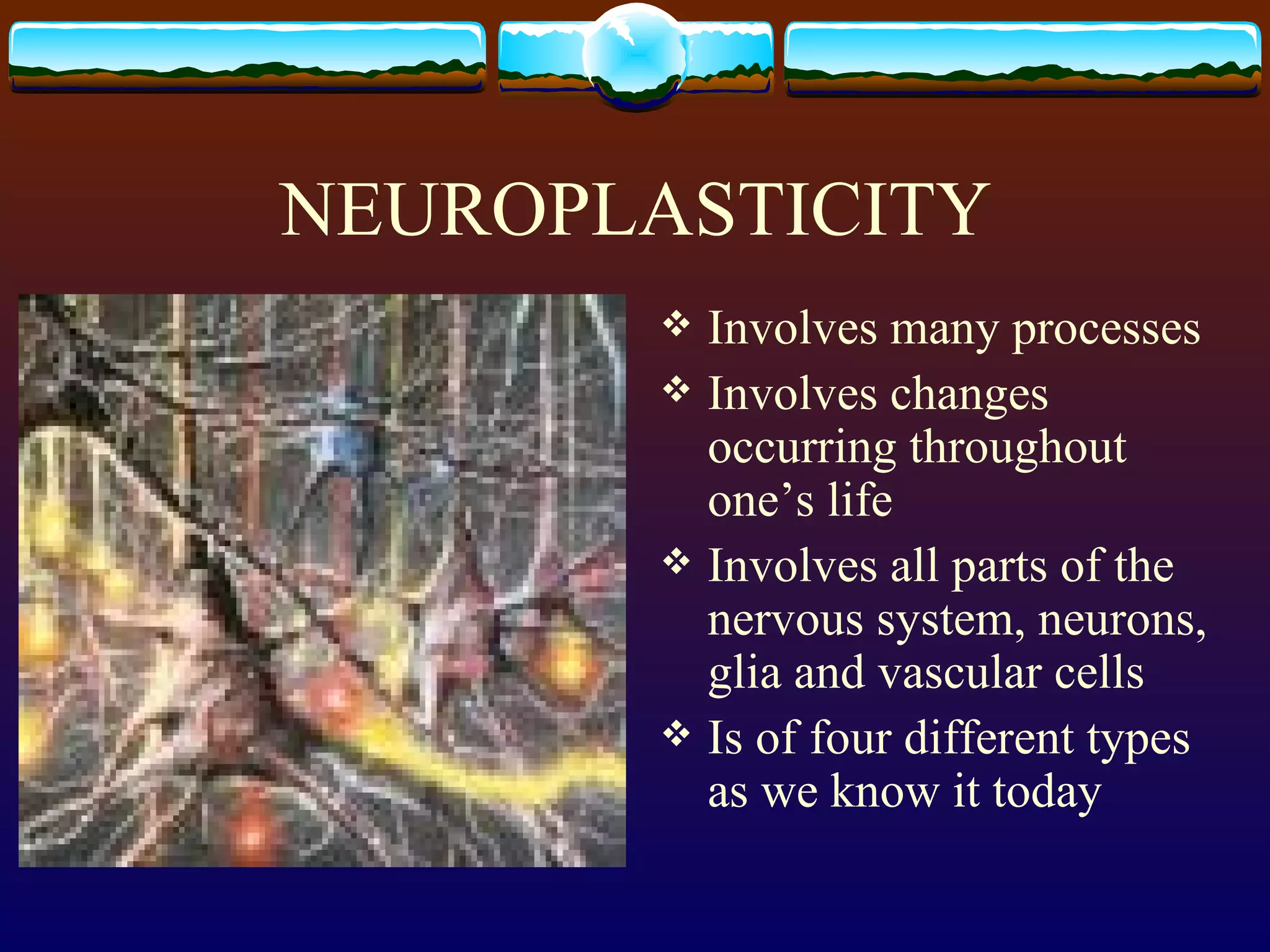 NEUROPLASTICITY Involves many processes Involves changes occurring throughout one’s life Involves all parts of the nervous system, neurons, glia and vascular cells Is of four different types as we know it today 