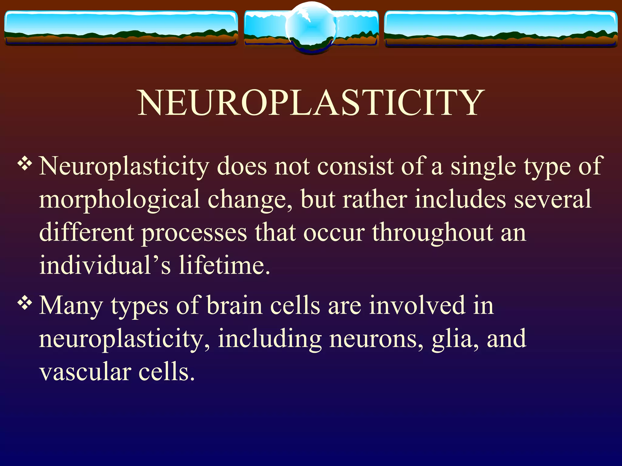 NEUROPLASTICITY Neuroplasticity does not consist of a single type of morphological change, but rather includes several different processes that occur throughout an individual’s lifetime. Many types of brain cells are involved in neuroplasticity, including neurons, glia, and vascular cells. 