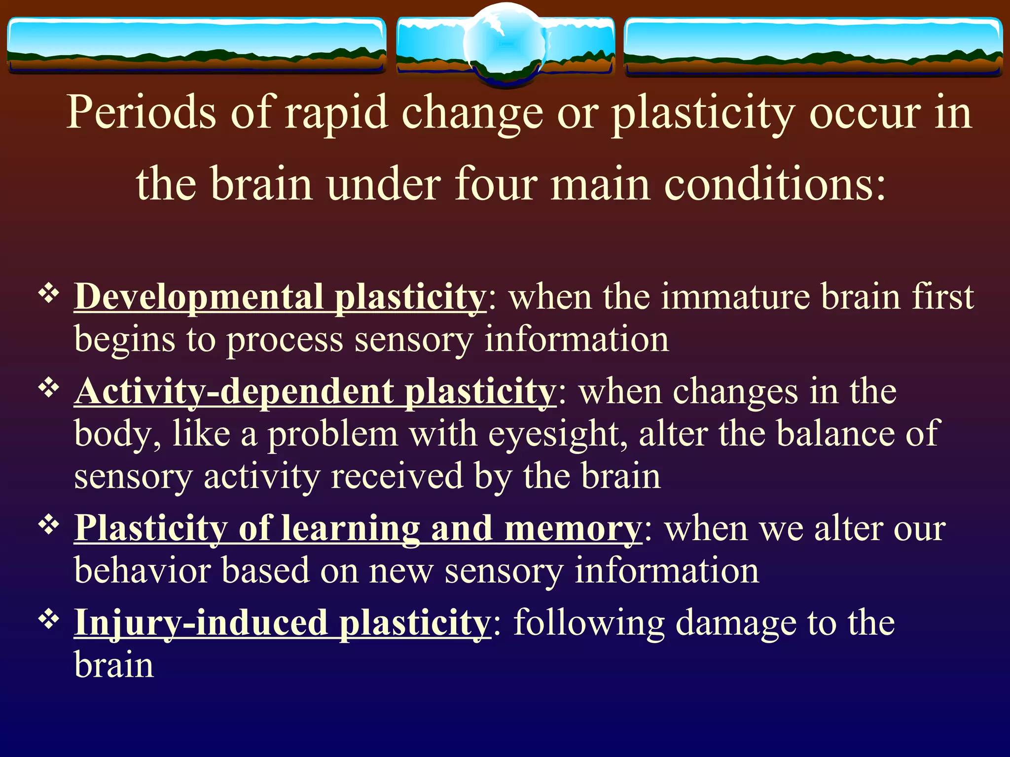 Periods of rapid change or plasticity occur in the brain under four main conditions:   Developmental plasticity : when the immature brain first begins to process sensory information Activity-dependent plasticity : when changes in the body, like a problem with eyesight, alter the balance of sensory activity received by the brain Plasticity of learning and memory : when we alter our behavior based on new sensory information  Injury-induced plasticity : following damage to the brain 