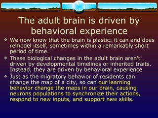 The adult brain is driven by behavioral experience We now know that the brain is plastic: it can and does remodel itself, sometimes within a remarkably short period of time. These biological changes in the adult brain aren't driven by developmental timelines or inherited traits. Instead, they are driven by behavioral experience Just as the migratory behavior of residents can change the map of a city, so can  our learning behavior change the maps in our brain, causing neurons populations to synchronize their actions, respond to new inputs, and support new skills. 