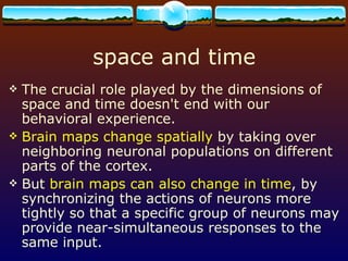 space and time The crucial role played by the dimensions of space and time doesn't end with our behavioral experience.  Brain maps change spatially  by taking over neighboring neuronal populations on different parts of the cortex. But  brain maps can also change in time , by synchronizing the actions of neurons more tightly so that a specific group of neurons may provide near-simultaneous responses to the same input.  