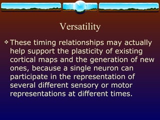 Versatility These timing relationships may actually help support the plasticity of existing cortical maps and the generation of new ones, because a single neuron can participate in the representation of several different sensory or motor representations at different times. 