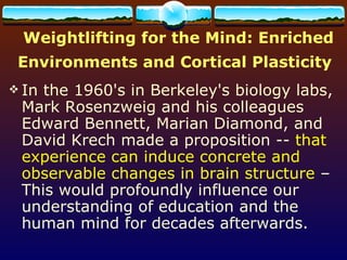 Weightlifting for the Mind: Enriched Environments and Cortical Plasticity   In the 1960's in Berkeley's biology labs, Mark Rosenzweig and his colleagues Edward Bennett, Marian Diamond, and David Krech made a proposition --  that experience can induce concrete and observable changes in brain structure  – This would profoundly influence our understanding of education and the human mind for decades afterwards.  