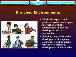 Enriched Environments The brain expects, and perhaps   even depends upon, interaction with the environment in order to develop and reach maturation. Babbling may assist in the development of language capabilities, just as playing with objects assists in development of motor skills.  