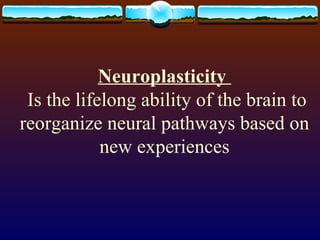Neuroplasticity   Is the lifelong ability of the brain to reorganize neural pathways based on new experiences 
