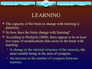 LEARNING The capacity of the brain to change with learning is plasticity.  So how does the brain change with learning?  According to Durbach (2000), there appear to be at least two types of modifications that occur in the brain with learning:  A  change in the internal structure of the neurons , the most notable being in the area of synapses.  An  increase in the number of synapses between neurons.  