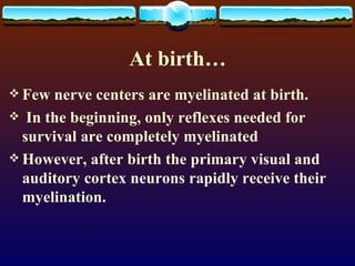 At birth… Few nerve centers are myelinated at birth. In the beginning, only reflexes needed for survival are completely myelinated However, after birth the primary visual and auditory cortex neurons rapidly receive their myelination.  