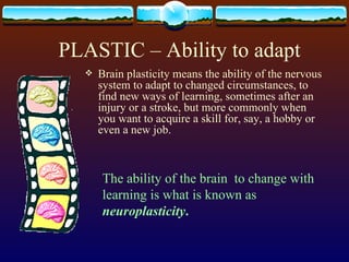 PLASTIC – Ability to adapt Brain plasticity means the ability of the nervous system to adapt to changed circumstances, to find new ways of learning, sometimes after an injury or a stroke, but more commonly when you want to acquire a skill for, say, a hobby or even a new job. The ability of the brain  to change with learning is what is known as  neuroplasticity . 