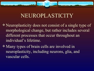 NEUROPLASTICITY Neuroplasticity does not consist of a single type of morphological change, but rather includes several different processes that occur throughout an individual’s lifetime. Many types of brain cells are involved in neuroplasticity, including neurons, glia, and vascular cells. 