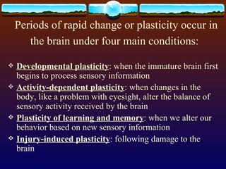 Periods of rapid change or plasticity occur in the brain under four main conditions:   Developmental plasticity : when the immature brain first begins to process sensory information Activity-dependent plasticity : when changes in the body, like a problem with eyesight, alter the balance of sensory activity received by the brain Plasticity of learning and memory : when we alter our behavior based on new sensory information  Injury-induced plasticity : following damage to the brain 