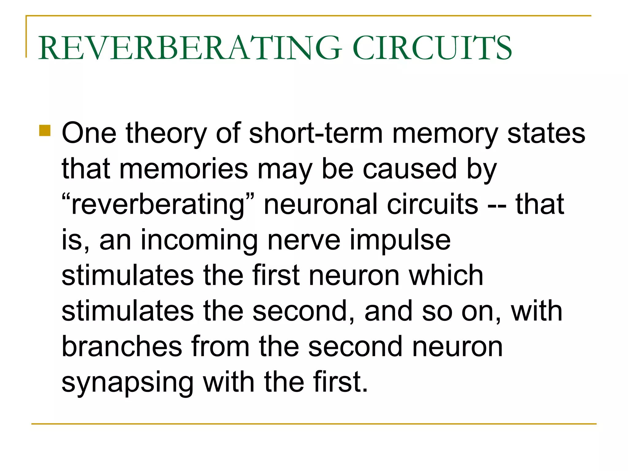 REVERBERATING CIRCUITS One theory of short-term memory states that memories may be caused by “reverberating” neuronal circuits -- that is, an incoming nerve impulse stimulates the first neuron which stimulates the second, and so on, with branches from the second neuron synapsing with the first. 