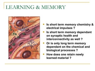 LEARNING & MEMORY Is short term memory chemistry & electrical impulses ? Is short term memory dependant on synaptic health and interconnectivity as well ? Or is only long term memory dependant on the chemical and biological processes ? How does one retain newly learned material ? 