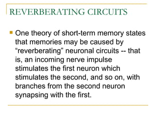 REVERBERATING CIRCUITS One theory of short-term memory states that memories may be caused by “reverberating” neuronal circuits -- that is, an incoming nerve impulse stimulates the first neuron which stimulates the second, and so on, with branches from the second neuron synapsing with the first. 