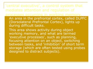 'central executive', a control system that mediates attention and regulation of processes occurring in working memory.  An area in the prefrontal cortex, called DLPFC (Dorsolateral Prefrontal Cortex), lights up during difficult tasks.  This area shows activity during object working memory, and what are termed 'executive processes', such as planning, focusing attention on an object, switching between tasks, and 'inhibition' of short term storage (which are often tested using probes designed to distract subjects). 