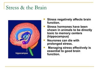 Stress & the Brain Stress negatively affects brain function.  Stress hormones have been shown in animals to be directly toxic to memory centers (hippocampus) Neurones can die with prolonged stress. Managing stress effectively is essential to good brain function.  