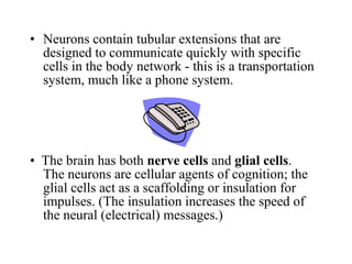 • Neurons contain tubular extensions that are
designed to communicate quickly with specific
cells in the body network - this is a transportation
system, much like a phone system.
• The brain has both nerve cells and glial cells.
The neurons are cellular agents of cognition; the
glial cells act as a scaffolding or insulation for
impulses. (The insulation increases the speed of
the neural (electrical) messages.)
 