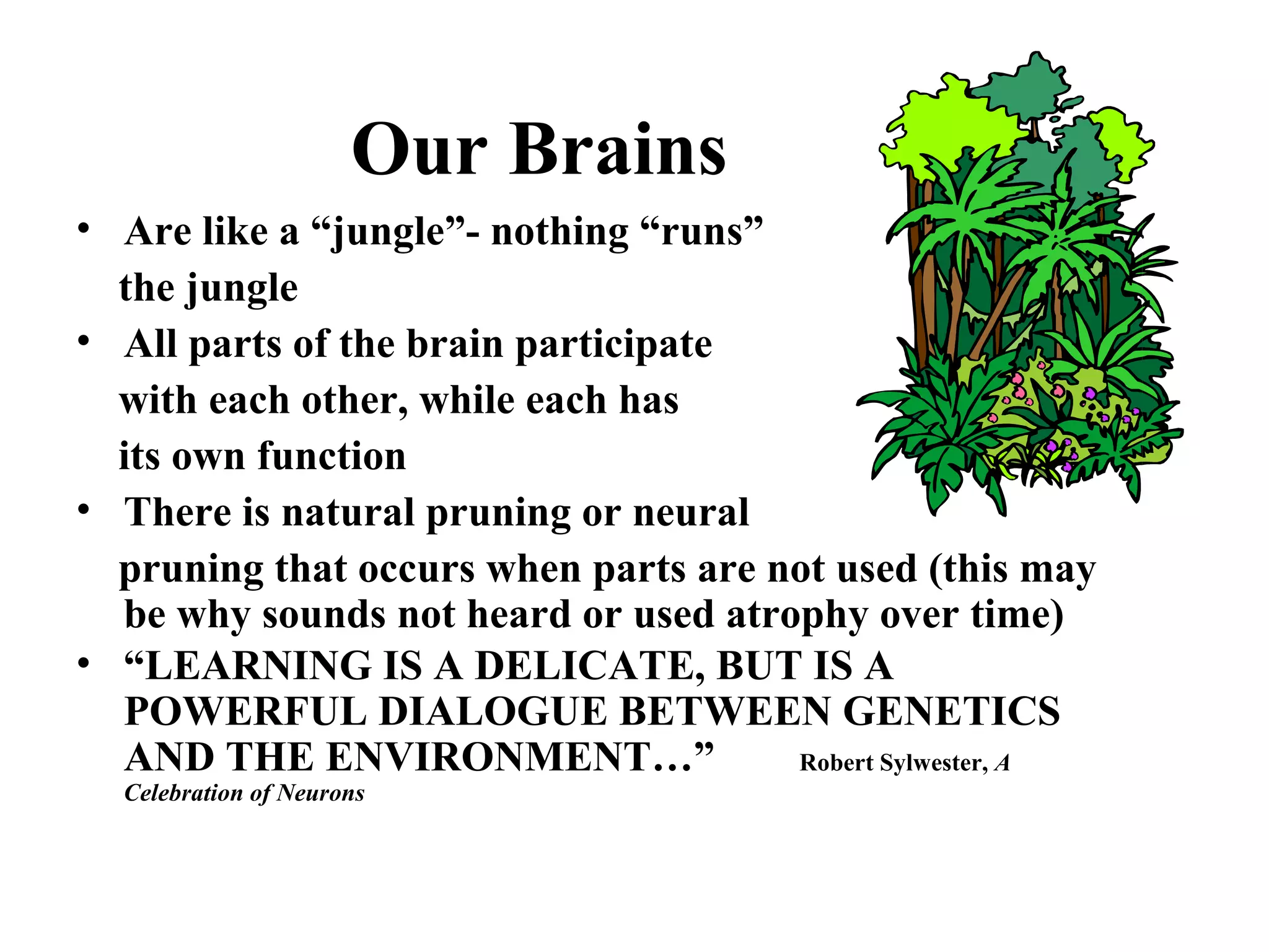 Our Brains
• Are like a “jungle”- nothing “runs”
the jungle
• All parts of the brain participate
with each other, while each has
its own function
• There is natural pruning or neural
pruning that occurs when parts are not used (this may
be why sounds not heard or used atrophy over time)
• “LEARNING IS A DELICATE, BUT IS A
POWERFUL DIALOGUE BETWEEN GENETICS
AND THE ENVIRONMENT…” Robert Sylwester, A
Celebration of Neurons
 