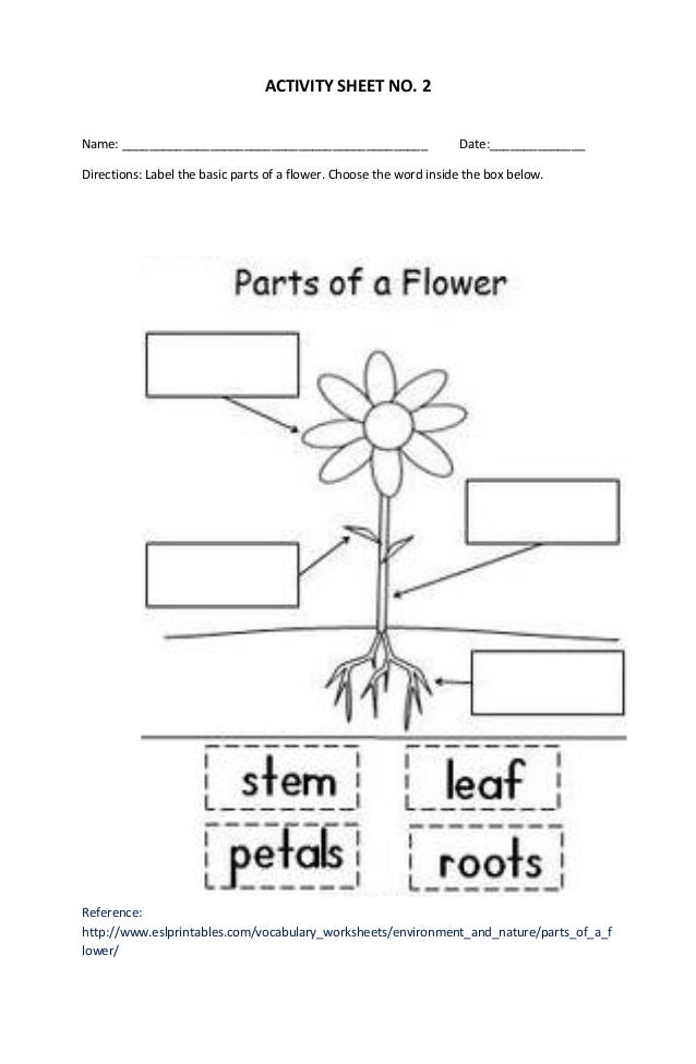 big for small plants and kindergarten worksheet lesson Brain plan based